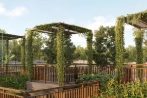 Pergola